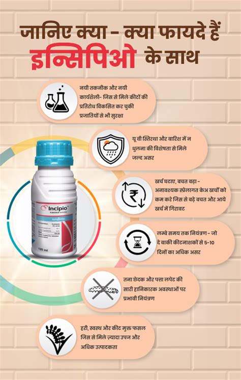 Incipio/Hindi_2024 | Syngenta