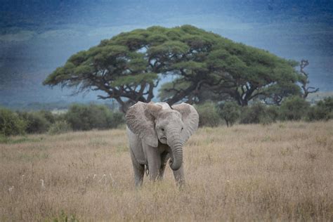 Big+Ass+Asian+Girls Photos, Download The BEST Free Big+Ass+Asian+Girls ...