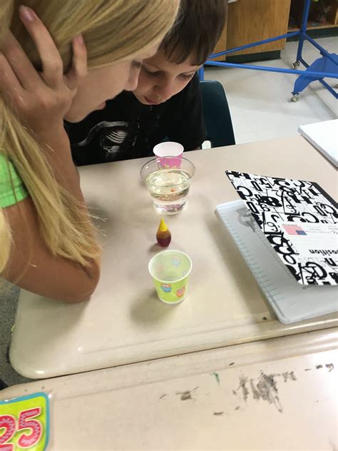 Image result for 3rd Grade Science Project Density