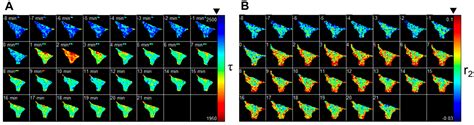 Homo-FRET Based Biosensors and Their Application to Multiplexed Imaging ...