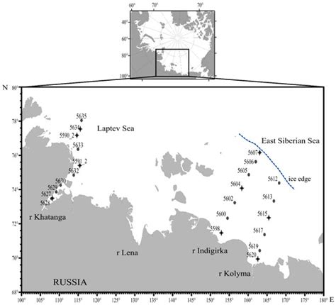 Picocyanobacteria in Estuaries of Three Siberian Rivers and Adjacent ...