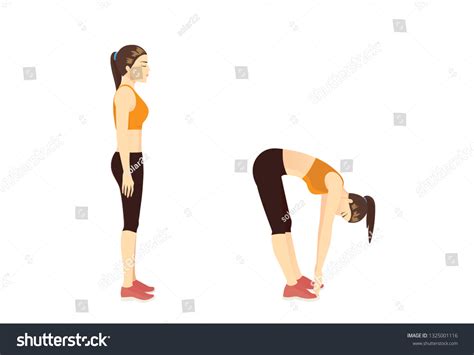 Image result for Toe Touch Exercise Cartoon