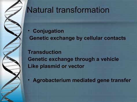 Transformation Genetics 的图像结果
