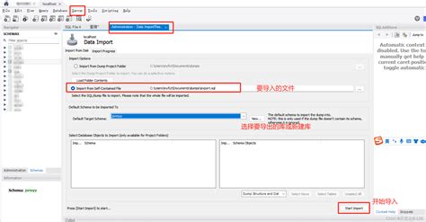 Workbench Software 的图像结果