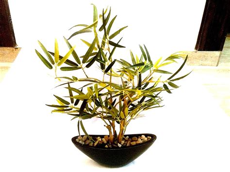 Buy Artificial Bamboo Plant/Dracaena Bonsai Plant Online at Low Prices ...