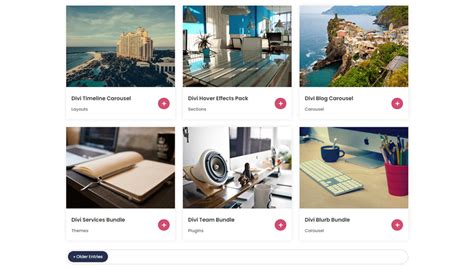 Image result for Divi Portfolio Module