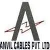Anvil Energy Private Limited - 2025 Insights