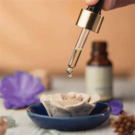 Holi Gift Hampers 2026 | Holi Hampers & Holi Gift Boxes Online – Page 3 ...