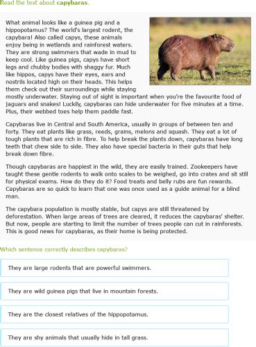 IXL - Read about animals (Class V English practice)