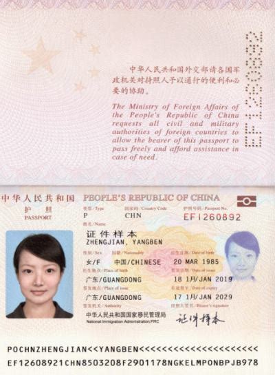 深圳异地办理护照需要什么材料_查查吧