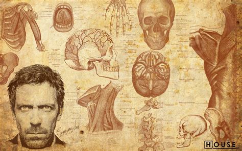 Anatomy and Physiology Wallpapers - Top Free Anatomy and Physiology Backgrounds - WallpaperAccess