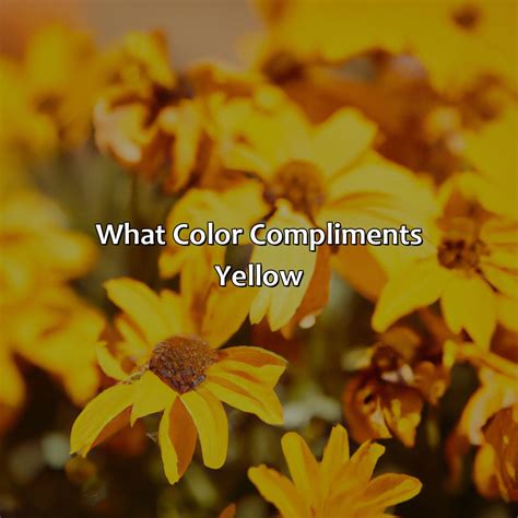 What Color Compliments Yellow - colorscombo.com