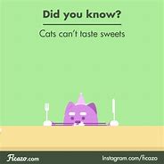 Image result for Weird Animal Facts