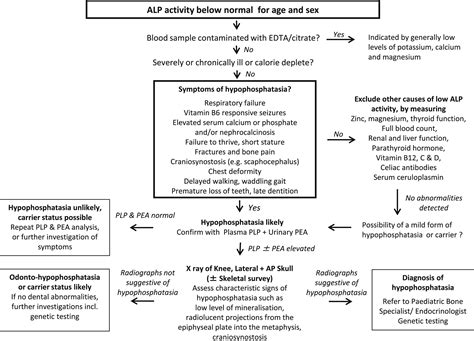 A Diagnostic Algorithm for Children with Low Alkaline Phosphatase Activities: Lessons Learned ...