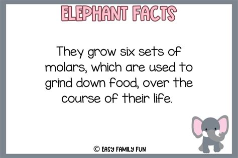74 Cool Facts About Elephants [Free Fact Cards]