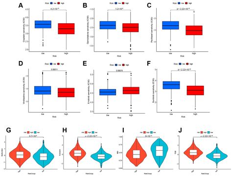 Lactylation Modification as a Promoter of Bladder Cancer: Insights from ...