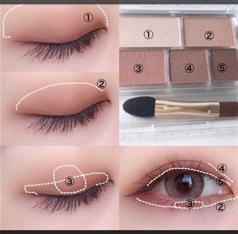 Pinterest | Korean eye makeup, Makeup tutorial, Asian eye makeup