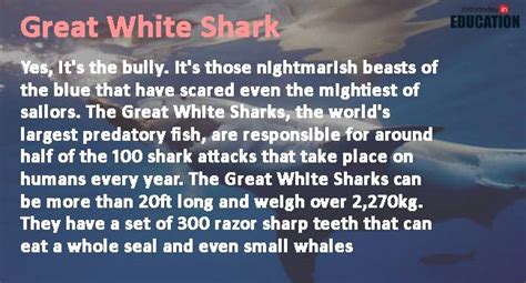 Scientist find out how deep sea creatures survived apocalypse: Seven ...