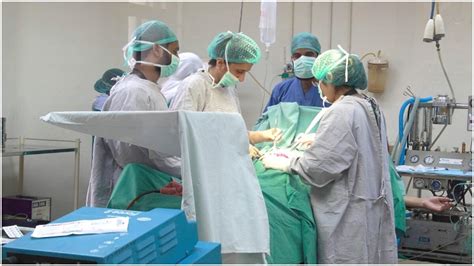 सस्ता इलाज, बेहतर सुविधाएं... कितने पाकिस्तानी हर साल मेडिकल वीजा पर ...