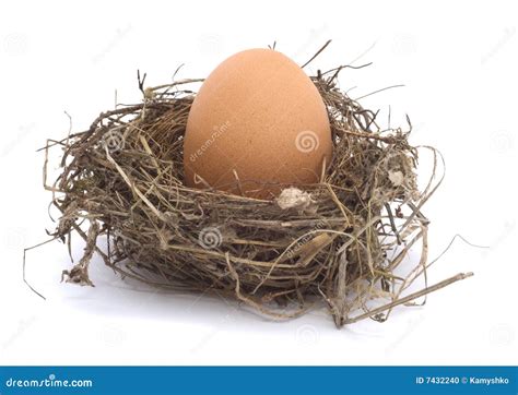 Hen s egg in a nest stock photo. Image of nestling, wooden - 7432240