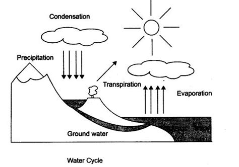 Notes Class 9 Science Chapter 14 Natural Resources