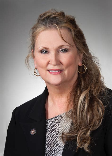 Ohio lawmaker blames shootings on gay marriage, video games, open ...