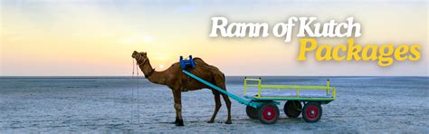 Explore Gujarat Holidays with Starflyer Travels | Book Your Dream Vacation