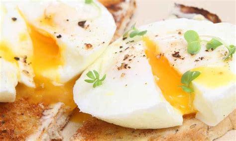 How to Basic Breakfast 的图像结果