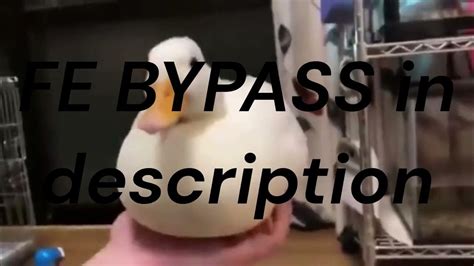 Image result for Roblox FE Bypass Tutorial