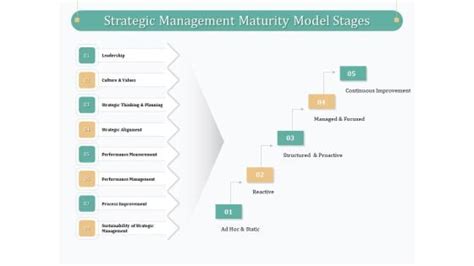 Image result for Strategy Evolution Maturity Model