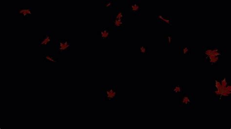 Image result for Fall Background Video Loop