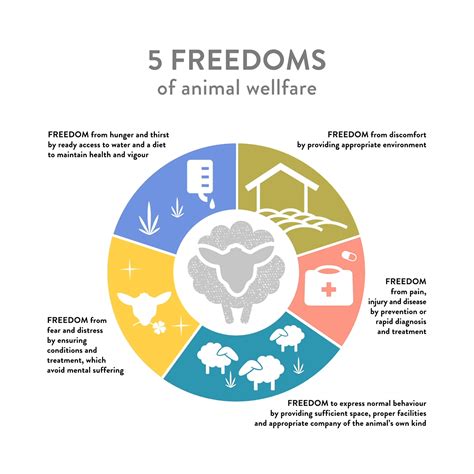 5 freedoms - Illus | Icons | Infographics