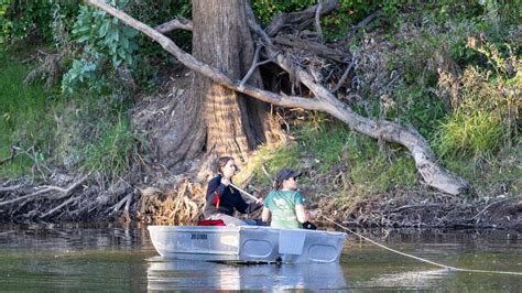 Platypus conservation center opens in Australia: video | Myrtle Beach ...