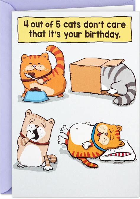 Hallmark Shoebox Funny Birthday Card (Cats Don't Care) : Amazon.ca ...