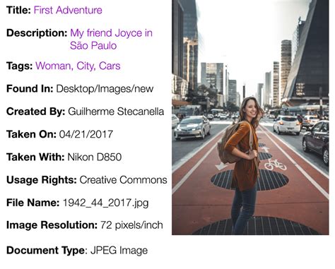 Image result for Example of Descriptive Metadata