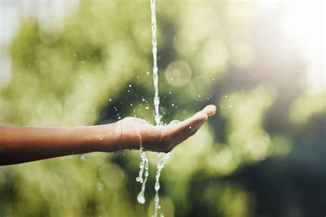 Image result for How Does PRV Operates