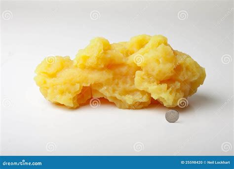 Five Pounds of Fat stock photo. Image of scale, weight - 25598420