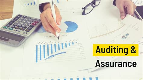 Image result for Auditing Routine Checking Internal Check and Test Checking