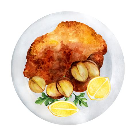 Qifi | Qifi World best Holistic wellness app