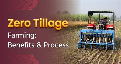 Zero Tillage Farming: Benefits and Process
