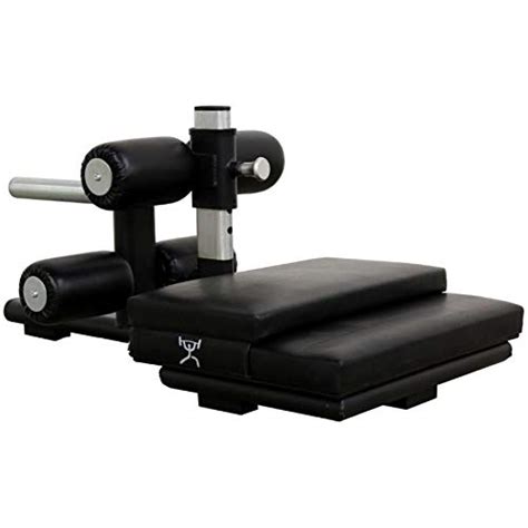 CFF Pro Series Floor Glute Ham Developer - Sissy India | Ubuy