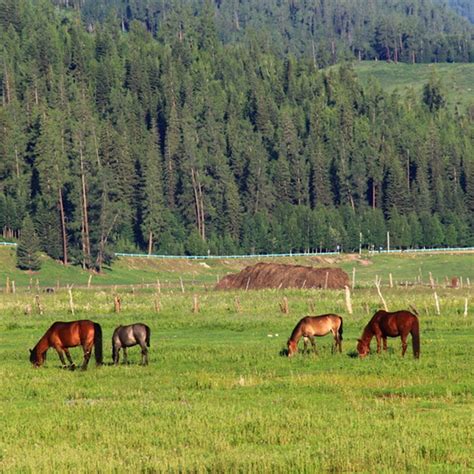 Buy Trayknick 500m Electric Portable Fencing Poly Wire Rope Farm Garden ...