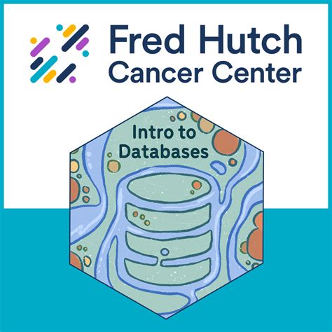 Image result for SQL Database Intro