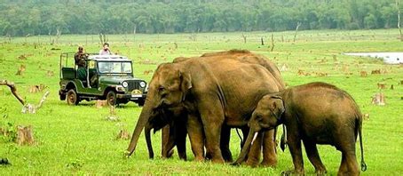 Nagarhole Pilgrimage Packages, Nagarhole Pilgrimage Tour, Nagarhole ...