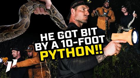 Image result for Python Cowboy YouTube