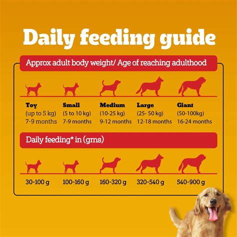 Pedigree Meat & Rice Adult Dry Dog Food – Pets Empire