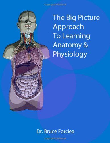 The Big Picture Approach to Learning Anatomy and Physiology : Forciea ...