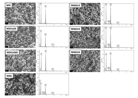 Synthesis and Characterization of Mesoporous Mg- and Sr-Doped ...