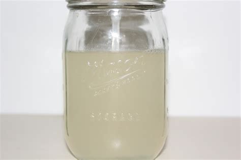 Image result for Zero Waste Dish Soap