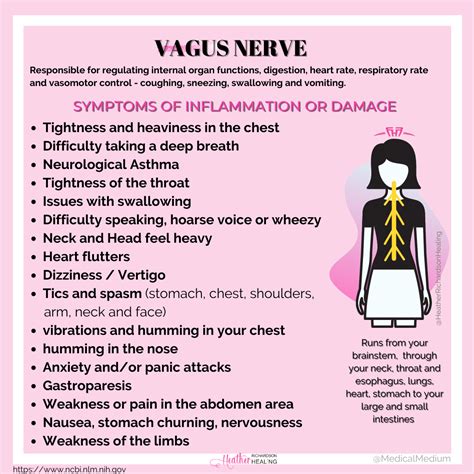 Vagus Nerve Inflammation Symptoms